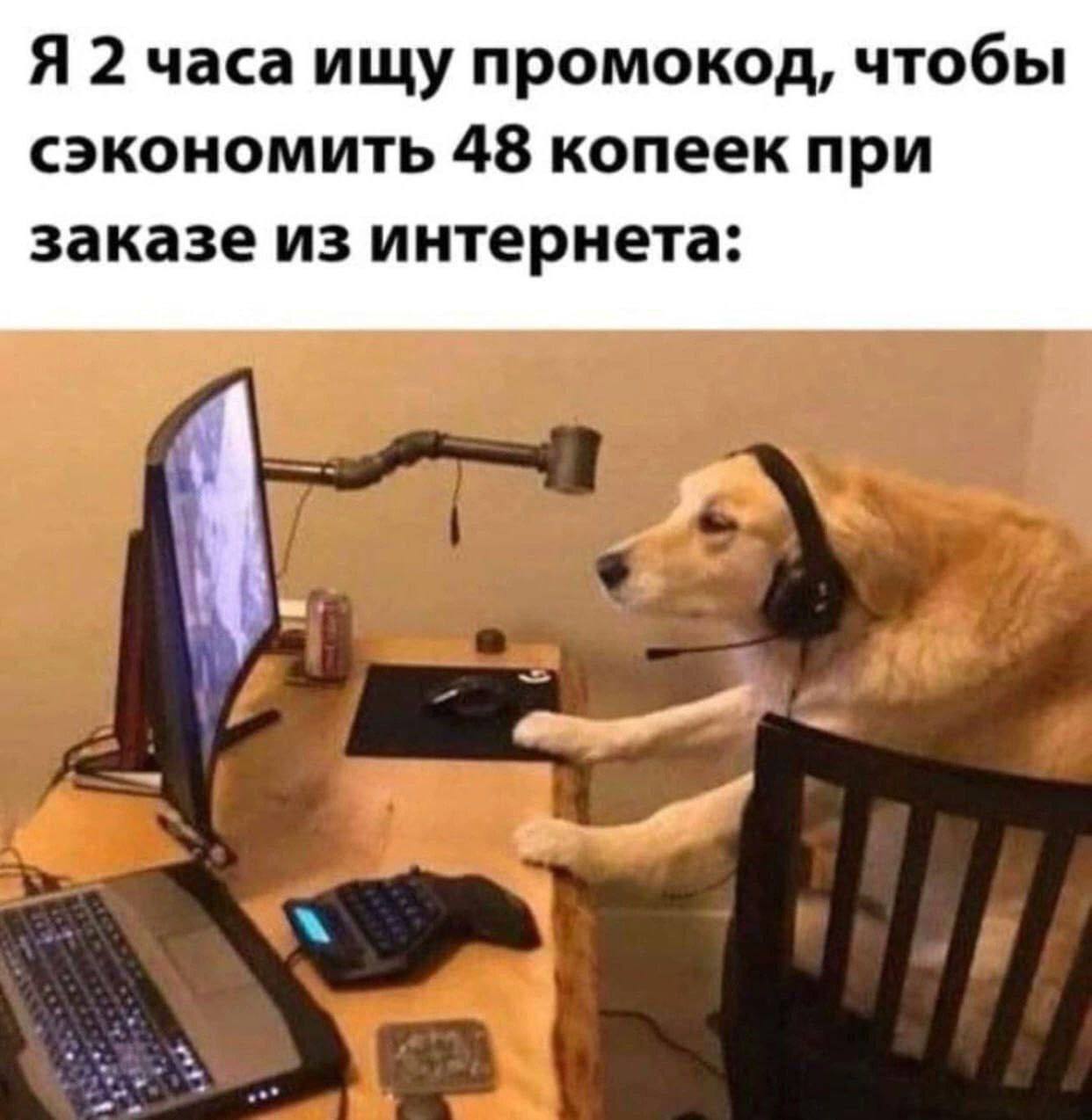 Я 2 часа ищу промокод, чтобы сэкономить 48 копеек при заказе из интернета: if