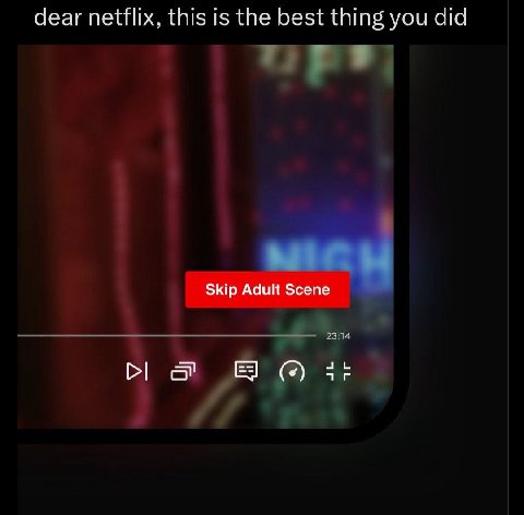 dear netflix, this is the best thing you did Skip Adult Scene