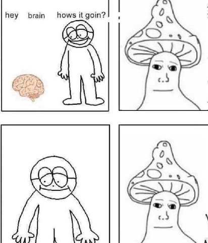 hey brain hows it goin? «4