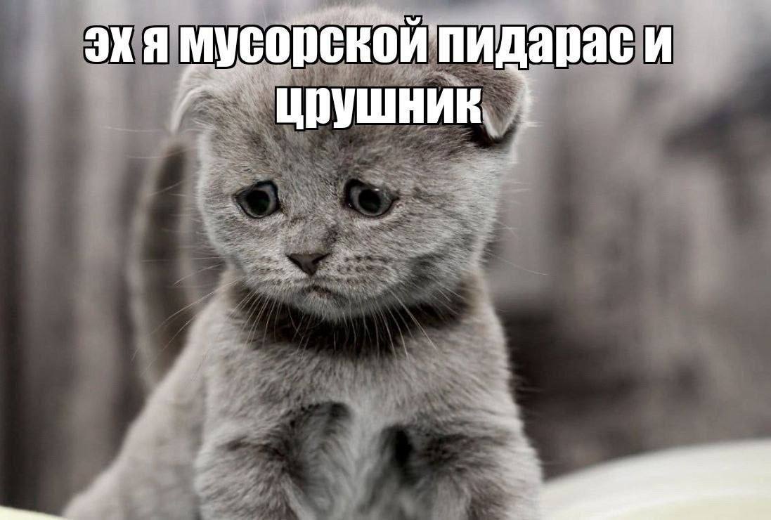 подментованные, конторские отметку дайте 🤙