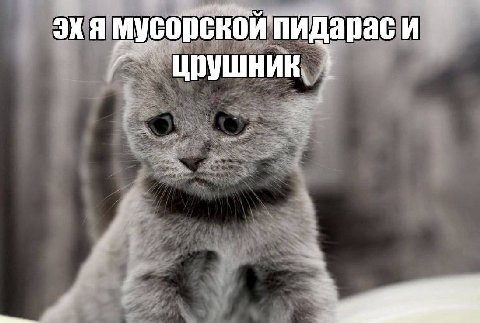 подментованные, конторские отметку дайте 🤙