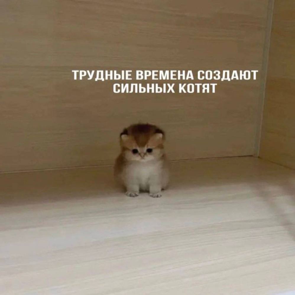 friendly reminder