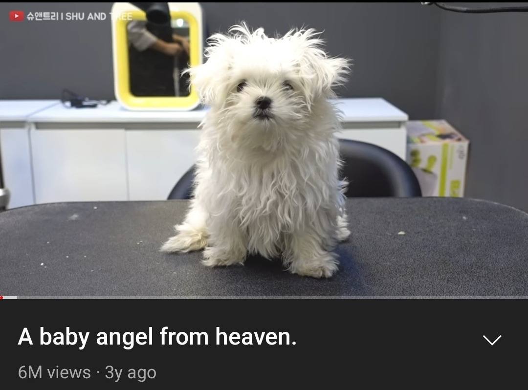SHU AND A baby angel from heaven views ago
