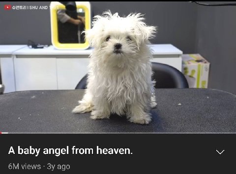 SHU AND A baby angel from heaven views ago