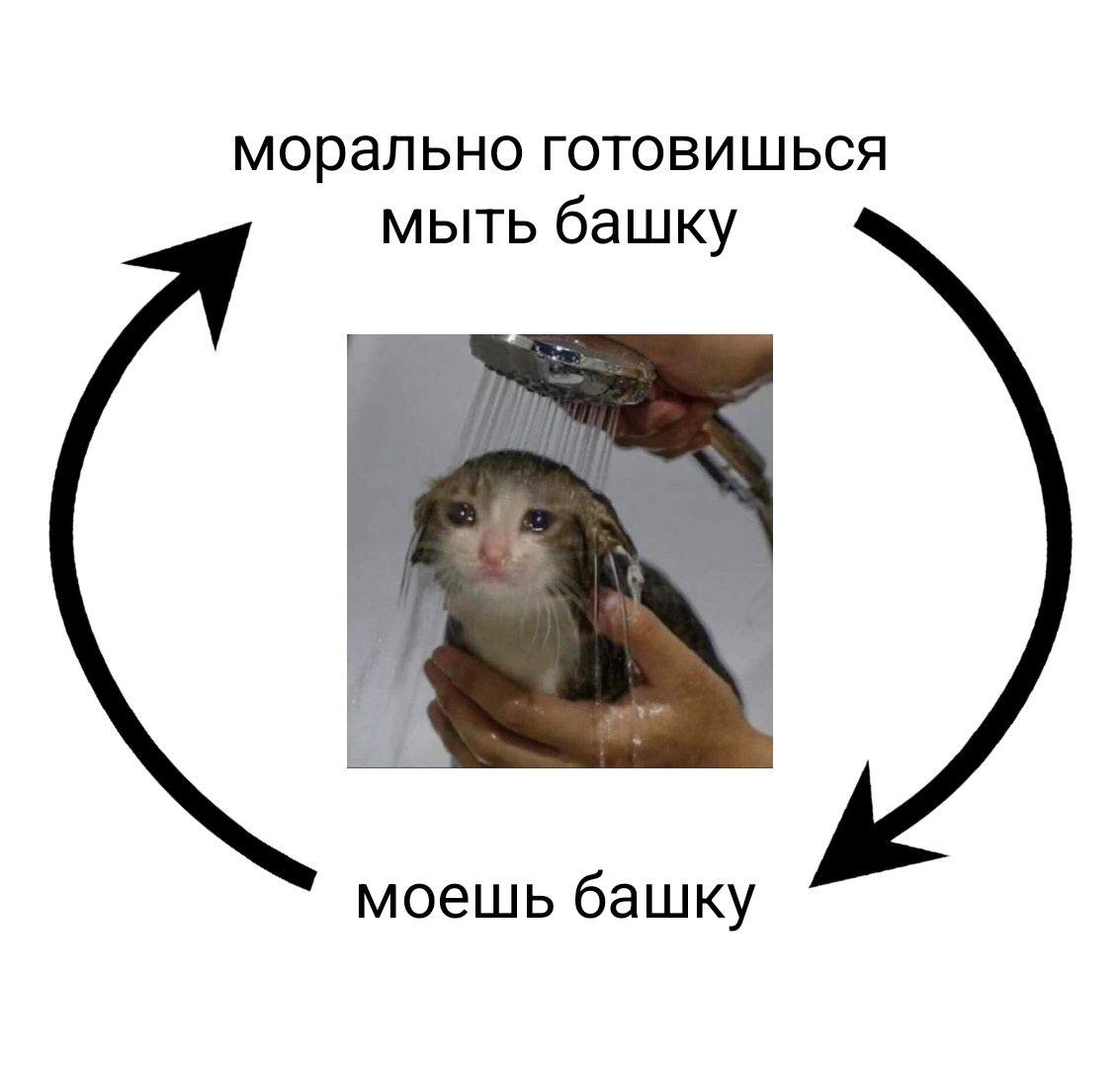 морально готовишься мыть башку моешь башку