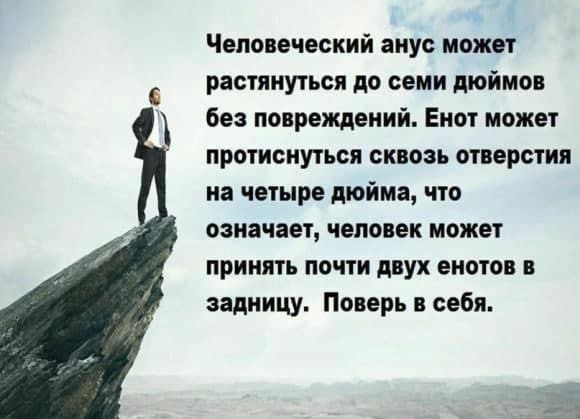 Человеческий анус может растянуться до семи дюймов без повреждений. Енот может протиснуться сквозь отверстия на четыре дюйма, что означает, человек может принять почти двух енотов в задницу. Поверь в 