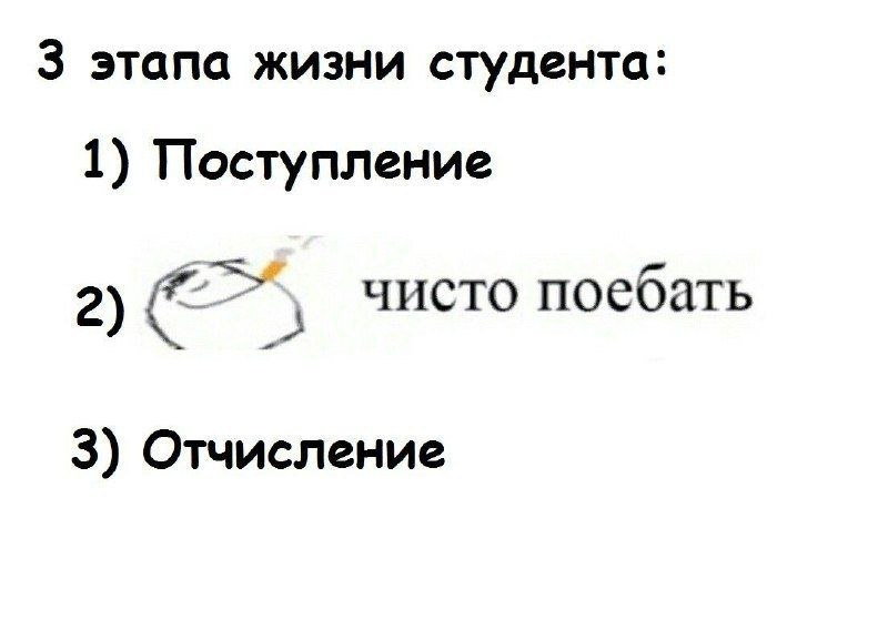 3 этапа жизни студента 1) Поступление чисто поебать 3) Отчисление