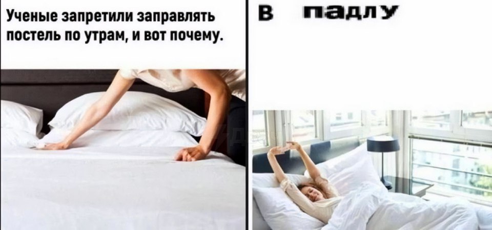 в падлу Ученые запретили заправлять постель по утрам, и вот почему.