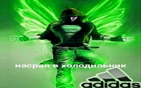 насрал в холодильник