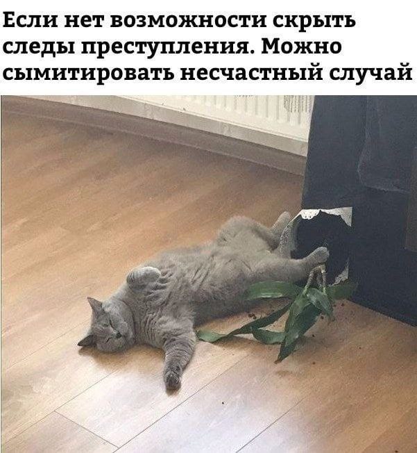 Если нет возможности скрыть следы преступления. Можно сымитировать несчастный случай 2 7 4