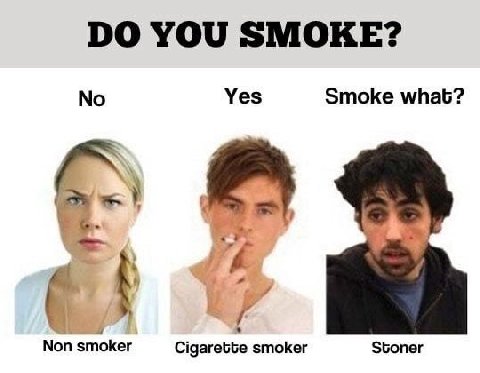 YOU SMOKE? No Yes Smoke what? 4 Non smoker Cigarette smoker Stoner