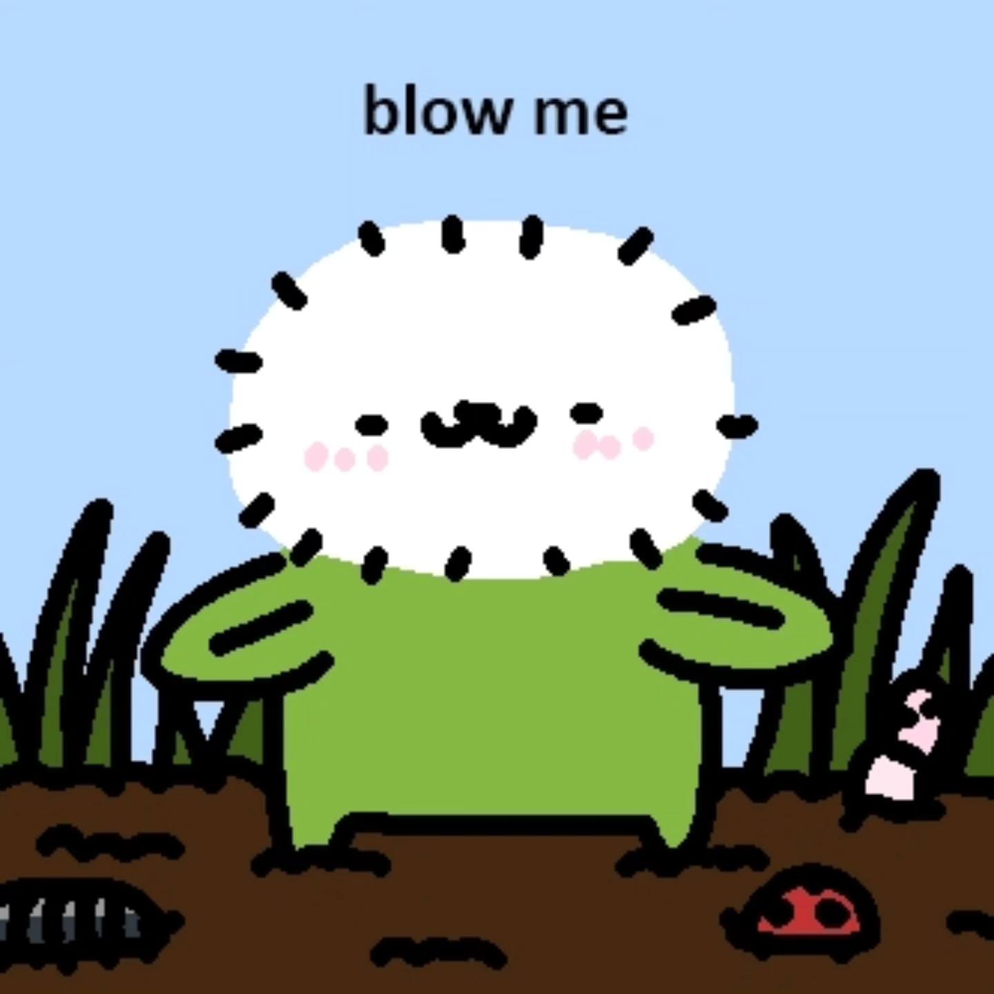 blow 60