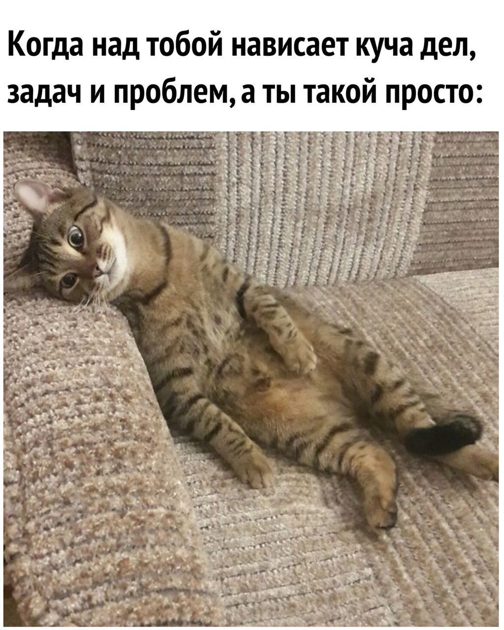 Когда над тобой нависает куча дел, задач и проблем, а ты такой просто: