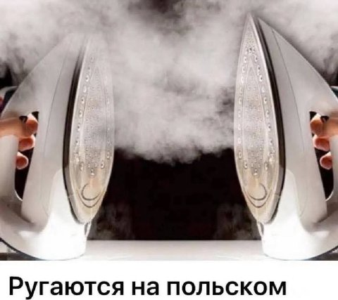 Ругаются на польском