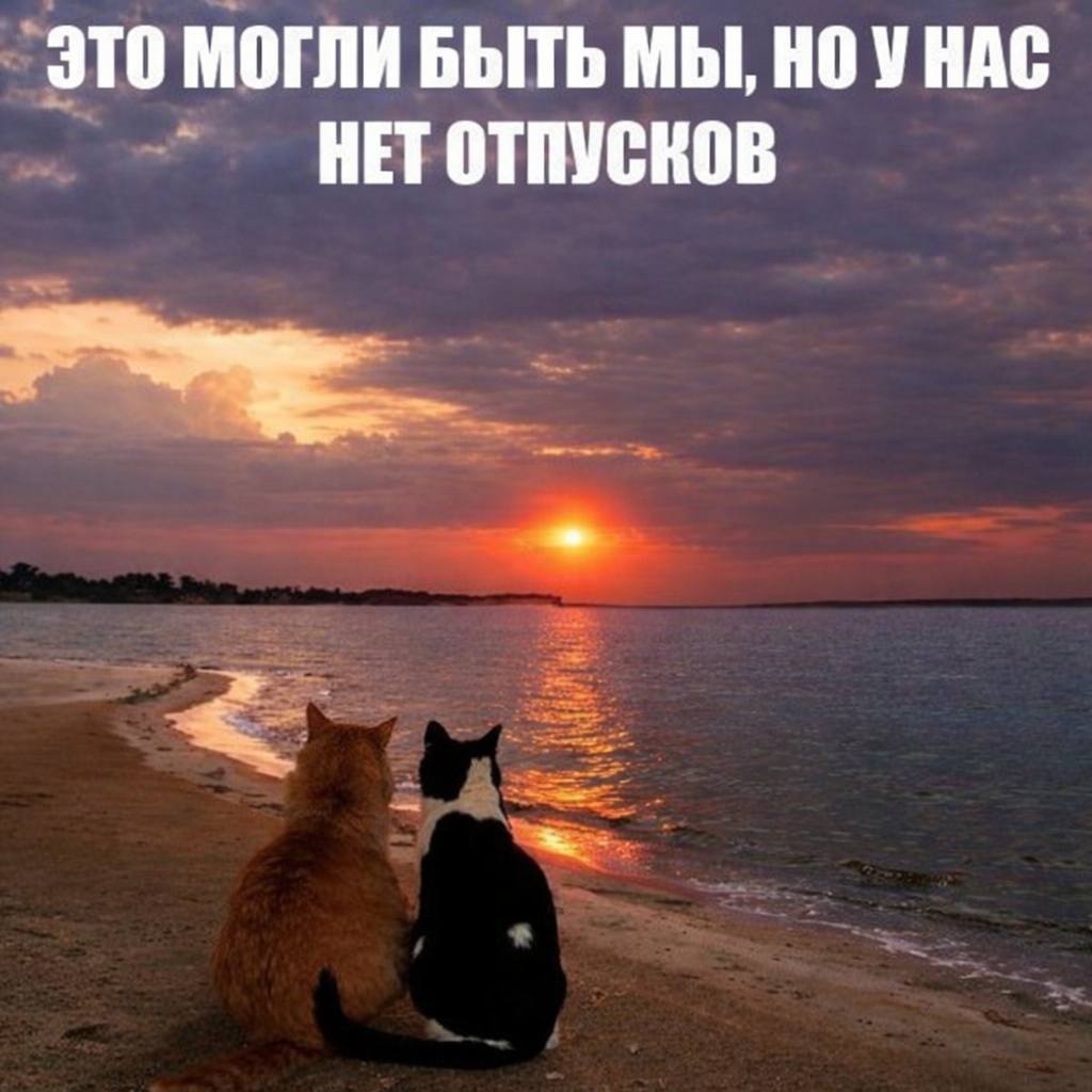 Перешли 😄