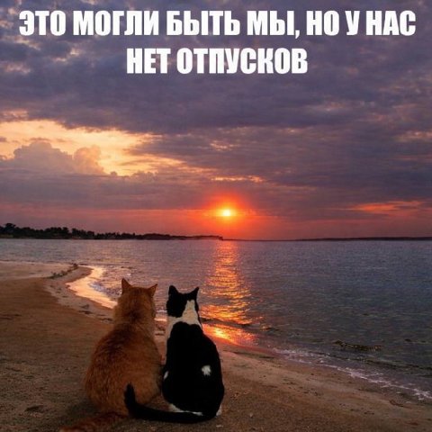 Перешли 😄