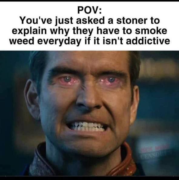 POV: You've just asked a stoner to explain why they have to smoke weed everyday if it isn't addictive