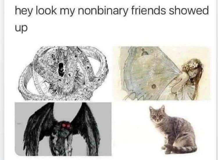 hey look my nonbinary friends showed Up A