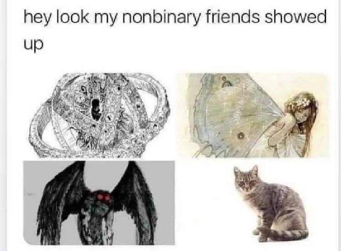 hey look my nonbinary friends showed Up A