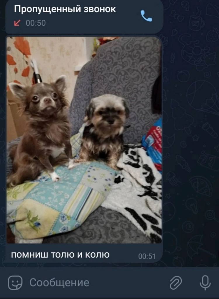 Пропущенный звонок 00:50 и 4, a помниш толю и колю 00:51 Сообщение а