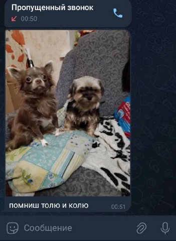 Пропущенный звонок 00:50 и 4, a помниш толю и колю 00:51 Сообщение а