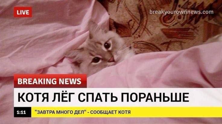 до связи