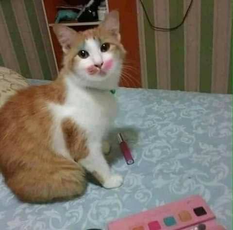 i i