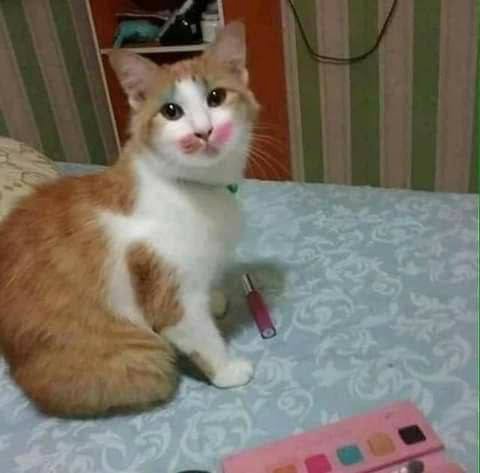 i i