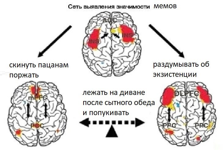 Сеть выявления значимости MEMOB скинуть пацанам 4 раздумывать об поржать экзистенции лежать на диване после сытного обеда и попукивать А