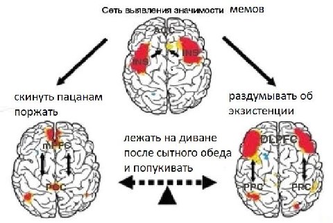 Сеть выявления значимости MEMOB скинуть пацанам 4 раздумывать об поржать экзистенции лежать на диване после сытного обеда и попукивать А
