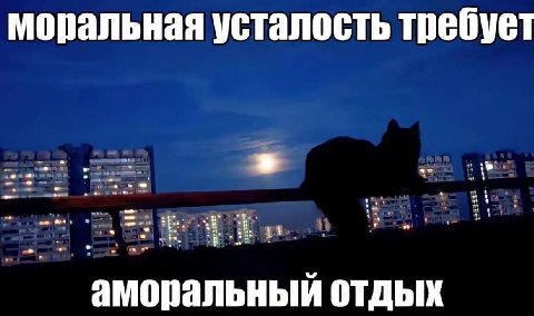 моральная усталость требует аморальный отдых