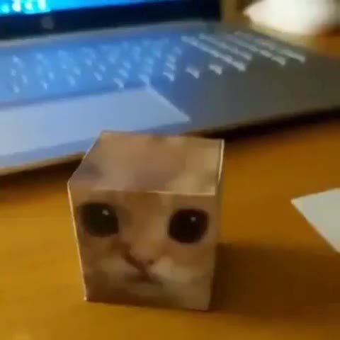 мем