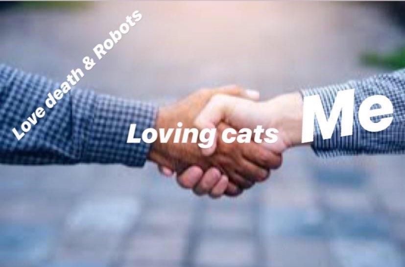 Loving cats