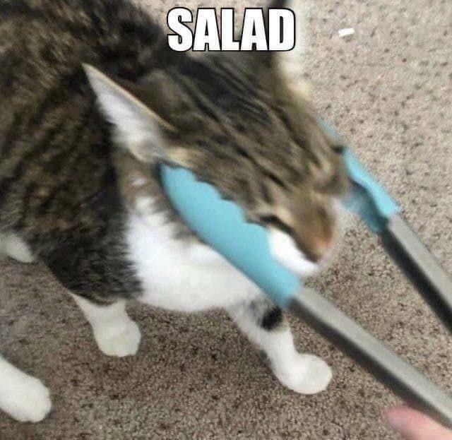 SALAD