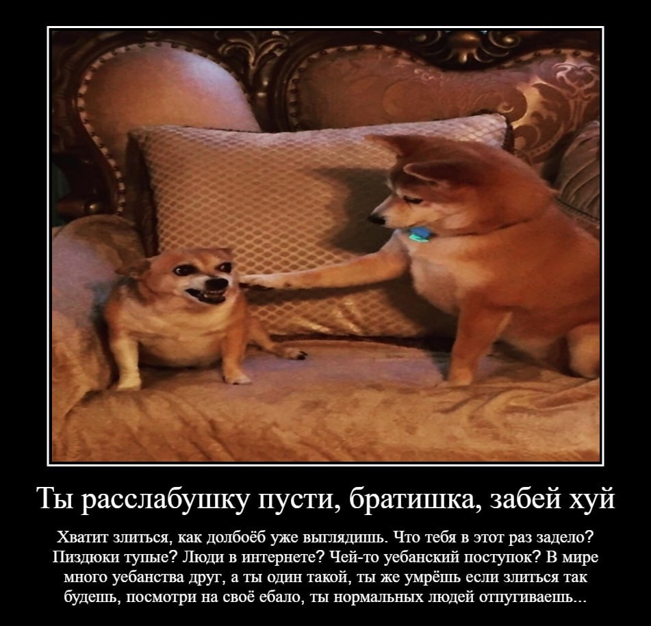 Ты расслабушку пусти, братишка, забей хуй Хватит злиться, как долбоёб уже выглядишь. Что тебя в этот раз задело? Пиздюкн тупые? Люли в интернете? Чей-то уебанский поступок? В мире много уебанства друг