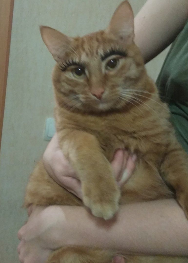 wil К 4