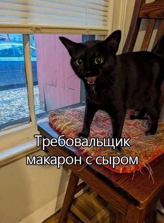 Требовальщик макарон с сыром