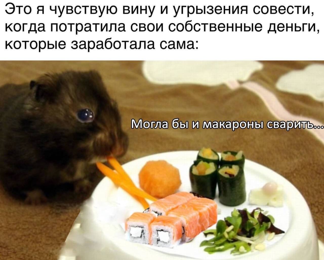 Это я чувствую вину и угрызения совести, когда потратила свои собственные деньги, которые заработала сама: Могла у