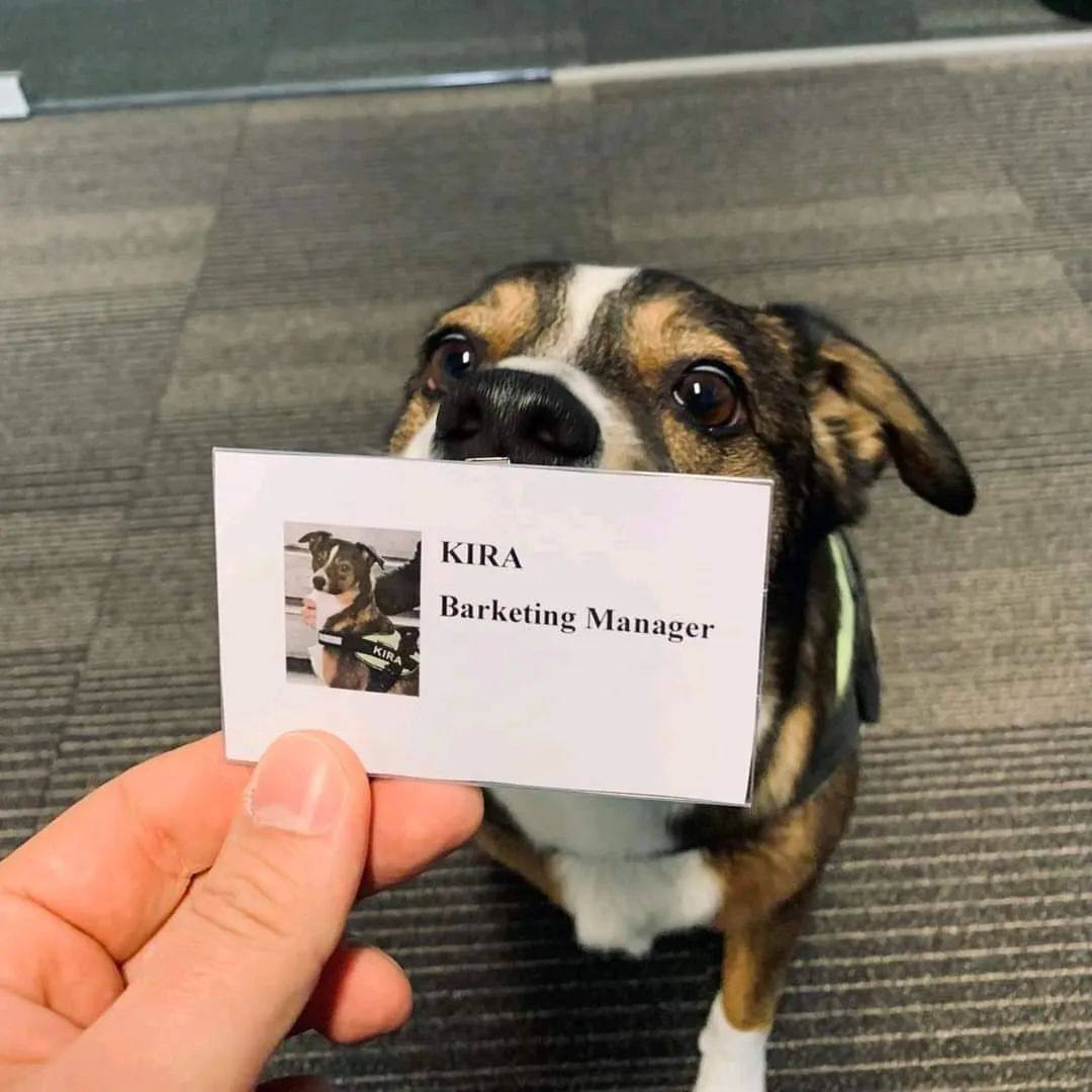 ЮВА Barketing Manager