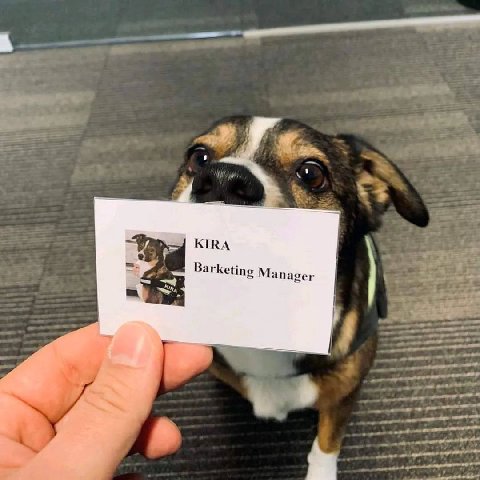 ЮВА Barketing Manager