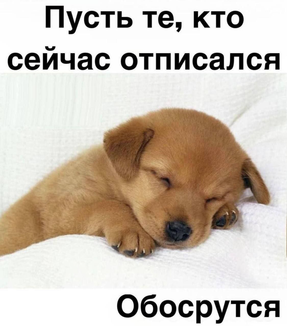Пусть кто сейчас отписался Обосрутся