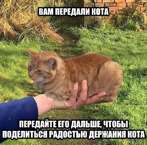 46: if VIA TRO Axe See “he a Я ПЕРЕДАЙТЕ ЕГО ДАЛЬШЕ, ЛИТЬСЯ РАДОСТЬЮ ДЕРЖАНИЯ ПОДЕЛИТЬСЯ РАДОСТЬЮ