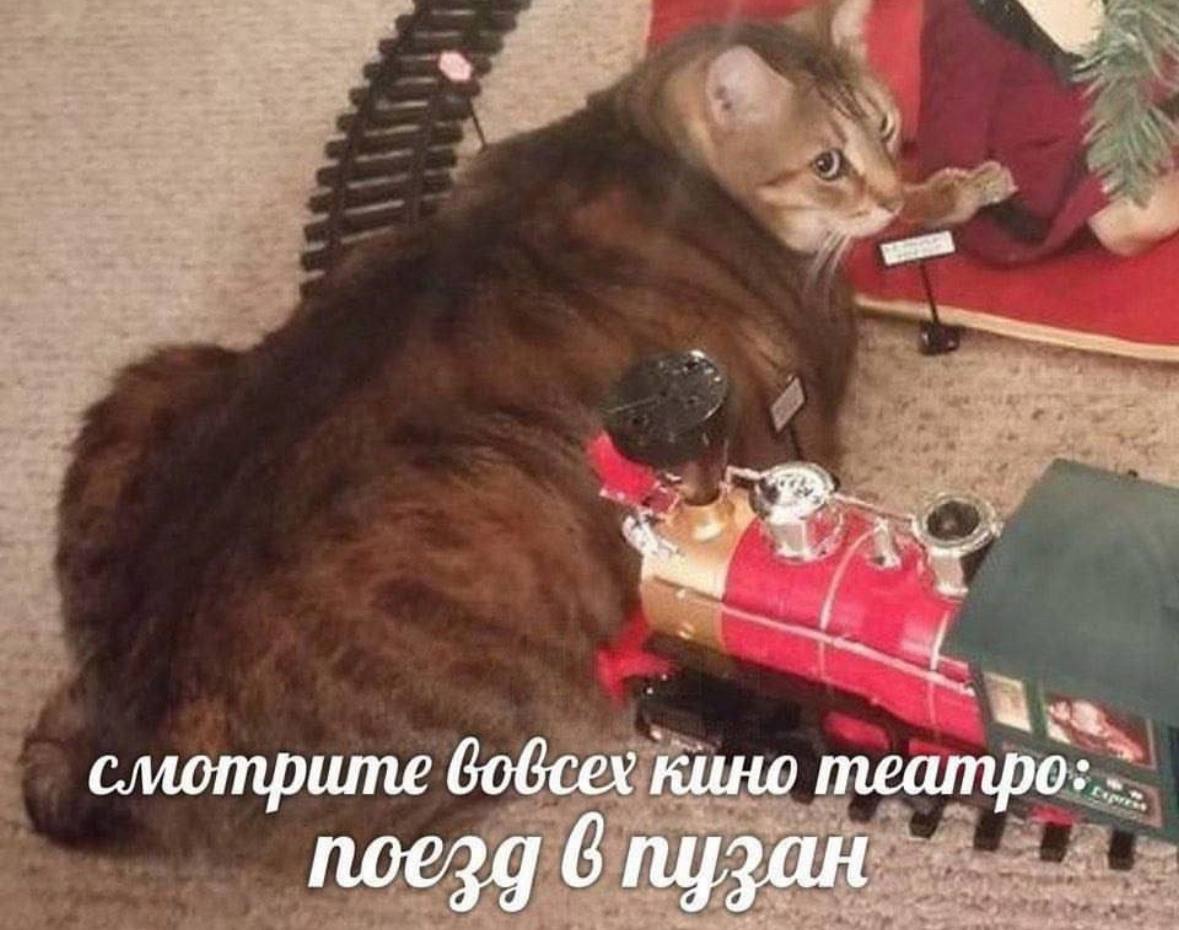 4 2, смотрите вобсех кино meampo: noezg 6 пузан