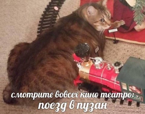 4 2, смотрите вобсех кино meampo: noezg 6 пузан