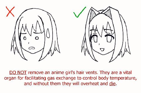 и МОТ remove anime girl's hair vents. They are а vital organ for facilitating gas exchange to control body temperature, and without them they will overheat and die.