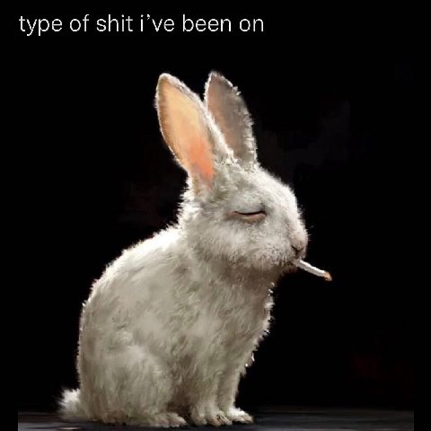 type of shit Гуе been
