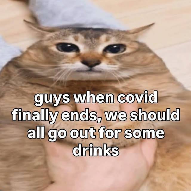 guys сома finally ends, we should all out for some