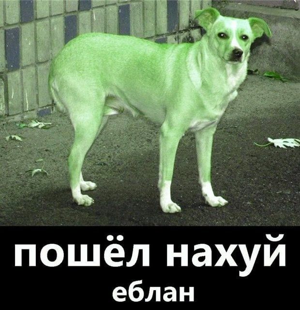 пошёл нахуй еблан