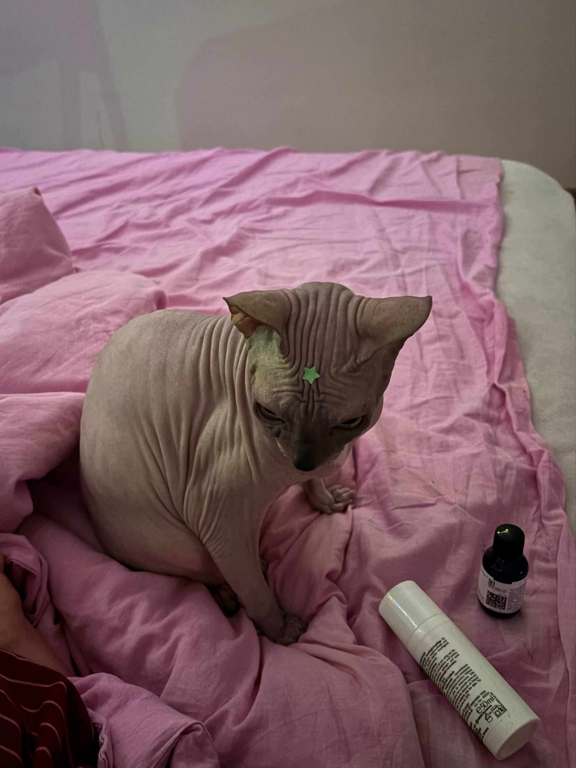 флойди the skincare king