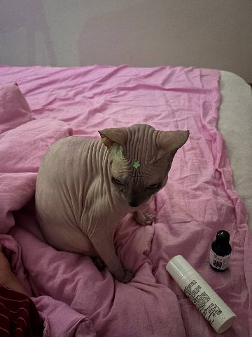 флойди the skincare king